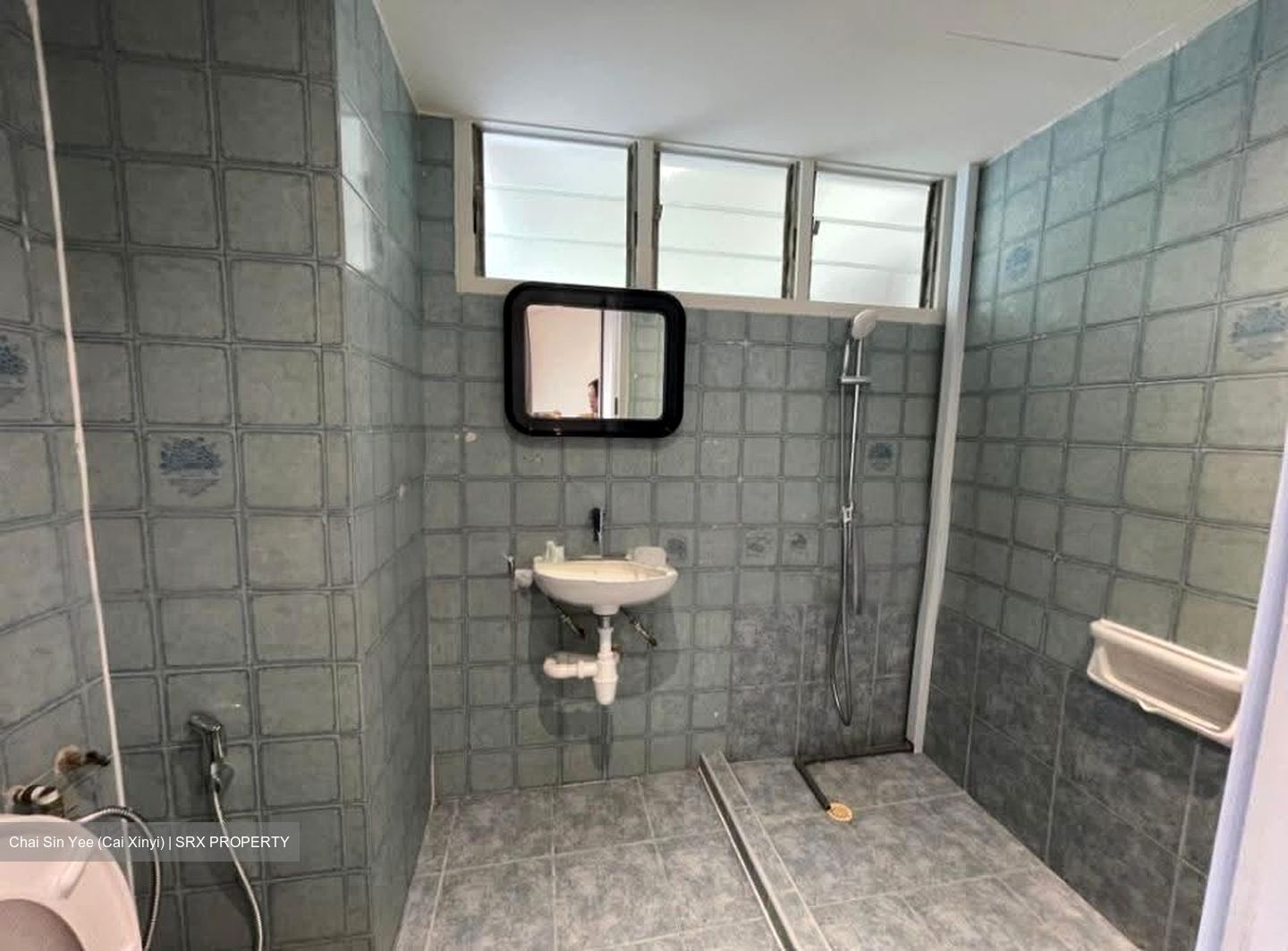 Dunearn Road (D11), Condominium #611651781